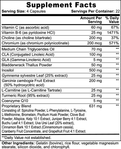 Super Fat Burner with MCT by Project M